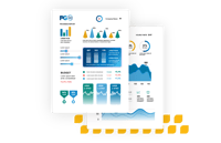 A high-level mockup of a PG360 report with graphs and stats.