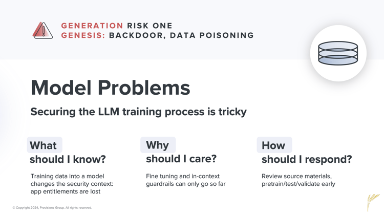 Cyber Risks Model Problems